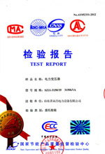 阜新电力变压器检测报告